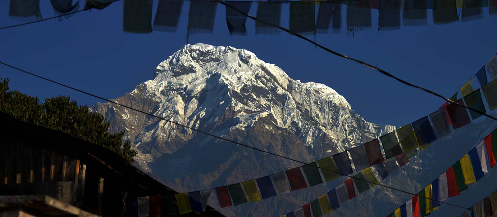 annapurna-