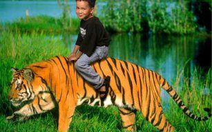 Chitwan Jungle Safari Tour