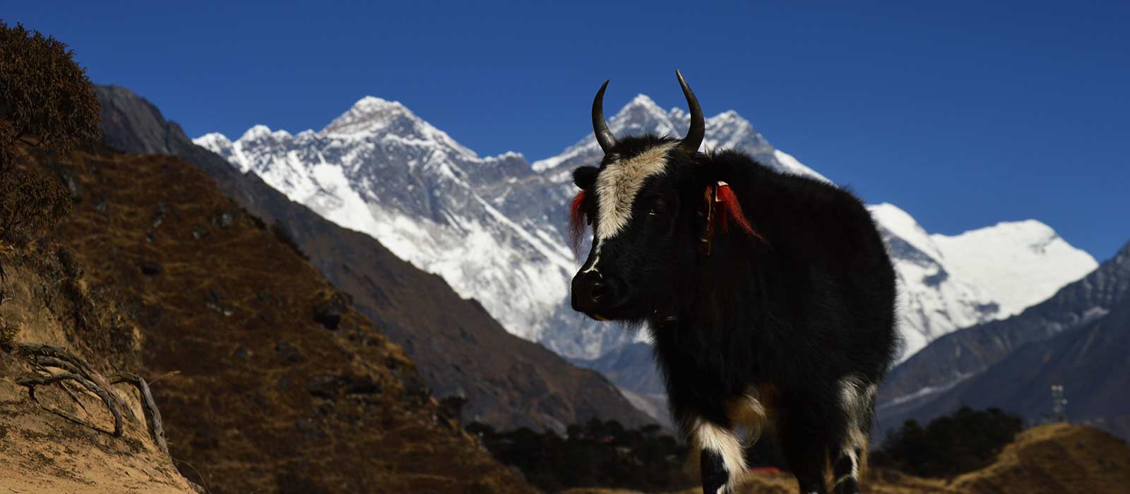 Everest-View-Trek