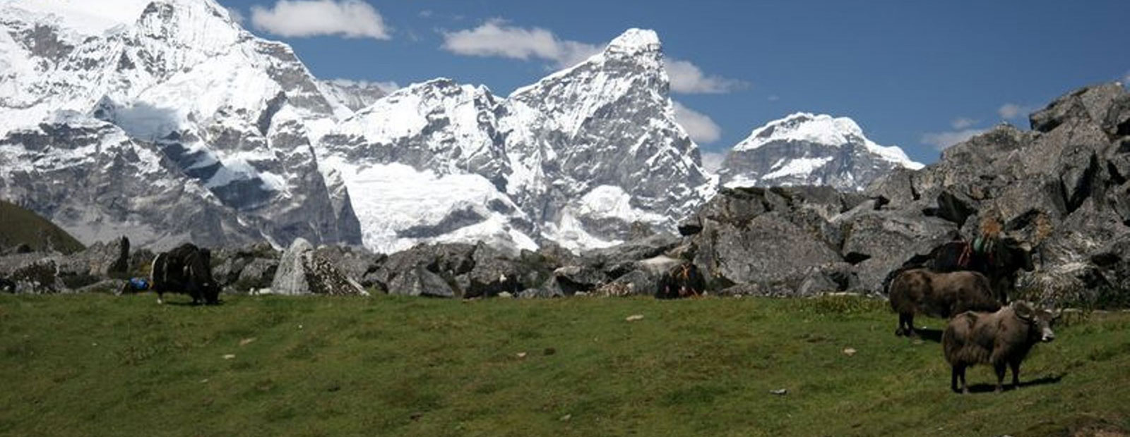 Druk Path Trek Bhutan