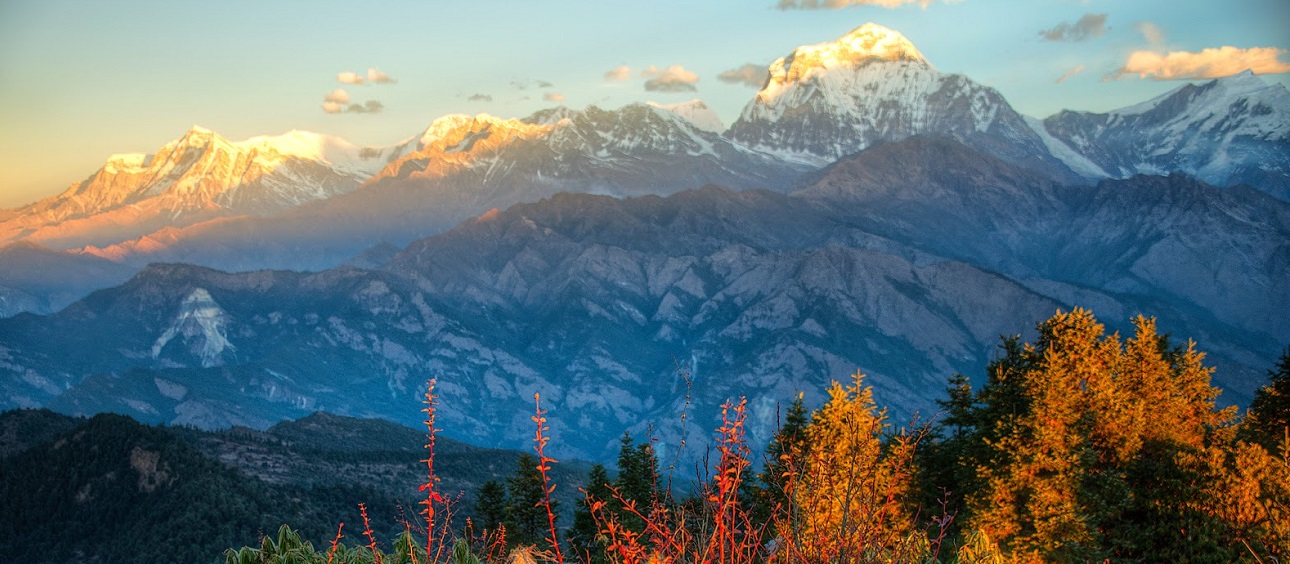 Annapurna Sunrise View Trek