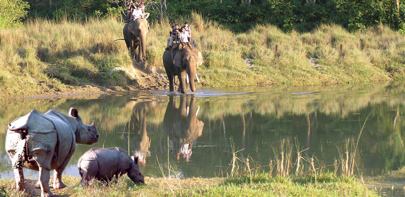 Jungle Safari tour in Nepal